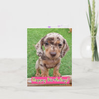 Cartão de Aniversário do Dachshund Puppy