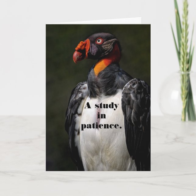 CARTÃO DE ANIVERSÁRIO DO DOENTE DE VULTURA (Frente)