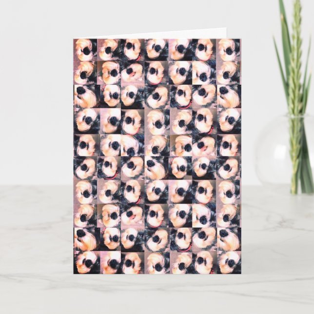 Cartão de aniversário do Dog Lover (Frente)