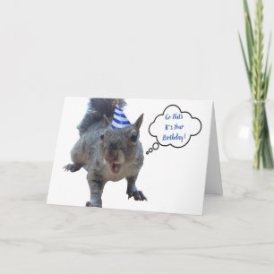 Cartão de Aniversário do Esquilo de Festas de Louc