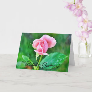 Cartão de Aniversário do Estilo de Água Rosa Rosa