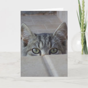 Cartão de aniversário do gatinho Peek-a-boo