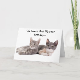 Cartão de Aniversário do Gato Engraçado "Deem-nos