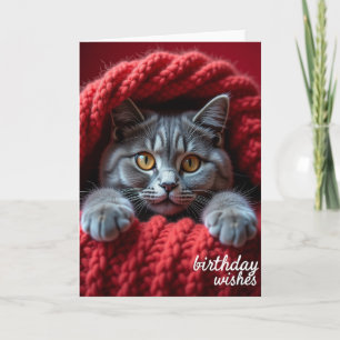 Cartão de Aniversário do Gato Olhar