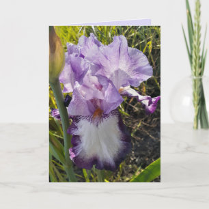 Cartão de Aniversário do Jardim das Flores Roxo