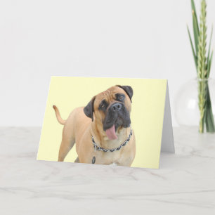 Cartão de aniversário do Mastiff pelo foco para