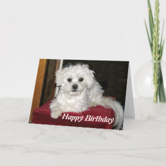 Cartão de aniversário do mel