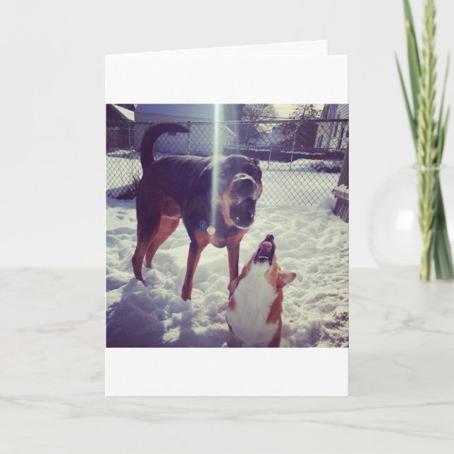 Cartão de Aniversário do Melhor Amigo Corgi (Frente)