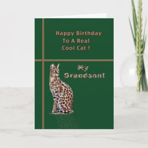 Cartão de aniversário do neto com Ocelot