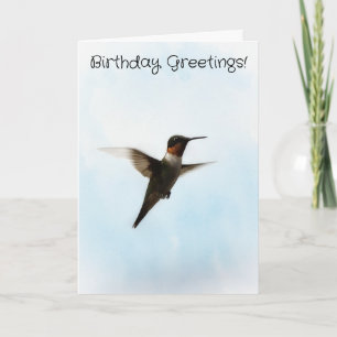 Cartão de Aniversário do Pássaro Hummingbird