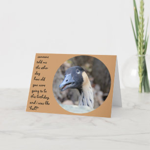 Cartão de Aniversário do Pato Engraçado, Over Hill