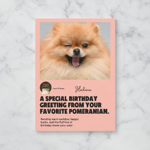 Cartão de Aniversário do Pomerânia Piscando Feliz
