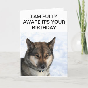 Cartão de aniversário do rouco Siberian de Snark