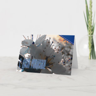 Cartão de aniversário do russo com flores da