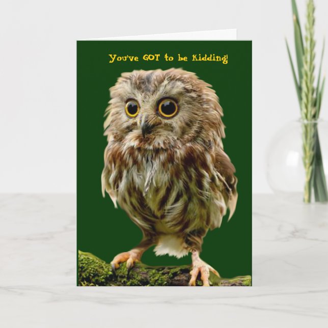 Cartão de aniversário do Scruffy Owl (Frente)