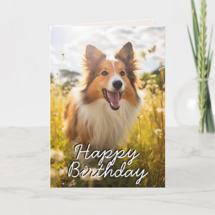 Cartão de Aniversário do Shetland Sheepdog Persona