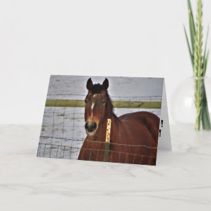 Cartão de Aniversário do "Supremo reinado"