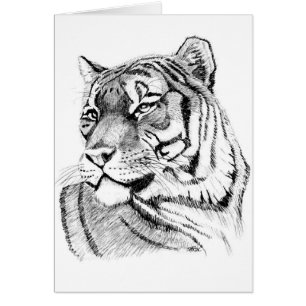 Cartão de aniversário do tigre