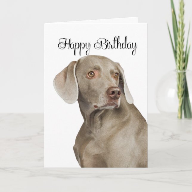 Cartão de Aniversário do Weimaraner (Frente)
