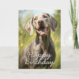 Cartão de Aniversário do Weimaraner Personalizado
