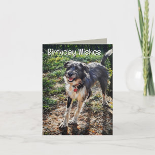 Cartão de aniversário dobrado de Labradoodle