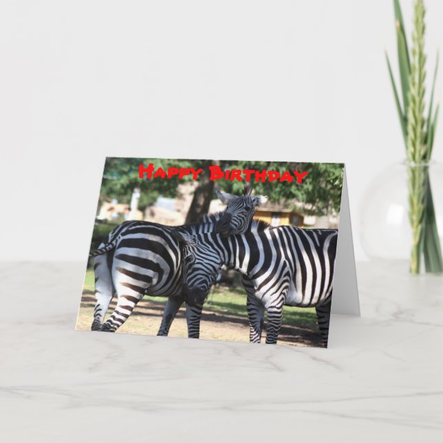 Cartão de Aniversário dos Amigos Zebra (Frente)
