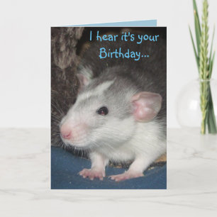 cartão de aniversário Dumbo rat rat rouco bebê