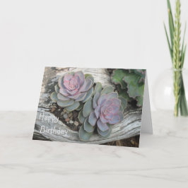 Cartão de Aniversário Echeveria Suculento