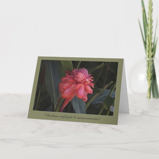 Cartão de aniversário em checo (Frente)