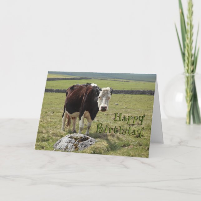 Cartão de aniversário engraçado (Frente)