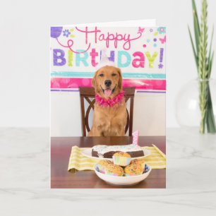 Cartão de Aniversário Engraçado