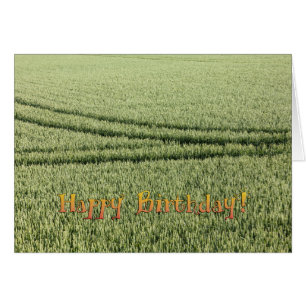 Cartão de aniversário engraçado