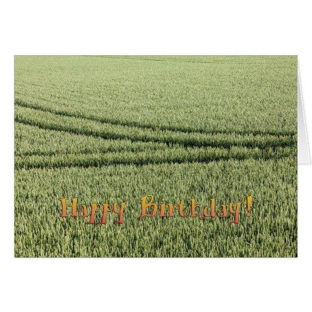 Cartão de aniversário engraçado (Frente Horizontal)