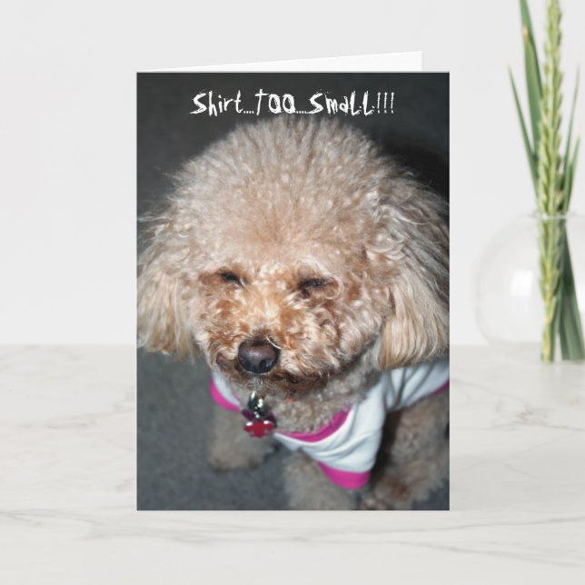 Cartão de Aniversário Engraçado (Frente)