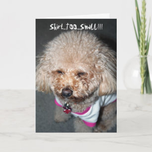 Cartão de Aniversário Engraçado