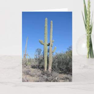 Cartão de Aniversário Engraçado Cactus
