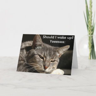 Cartão de aniversário engraçado com gato: Devo