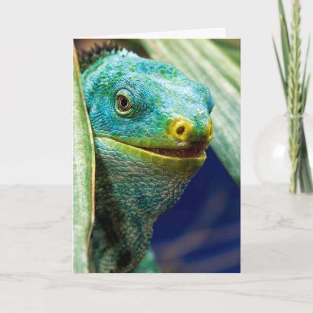 CARTÃO DE ANIVERSÁRIO ENGRAÇADO COM IGUANA (Frente)