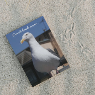 Cartão de Aniversário Engraçado da Seagull Surpris
