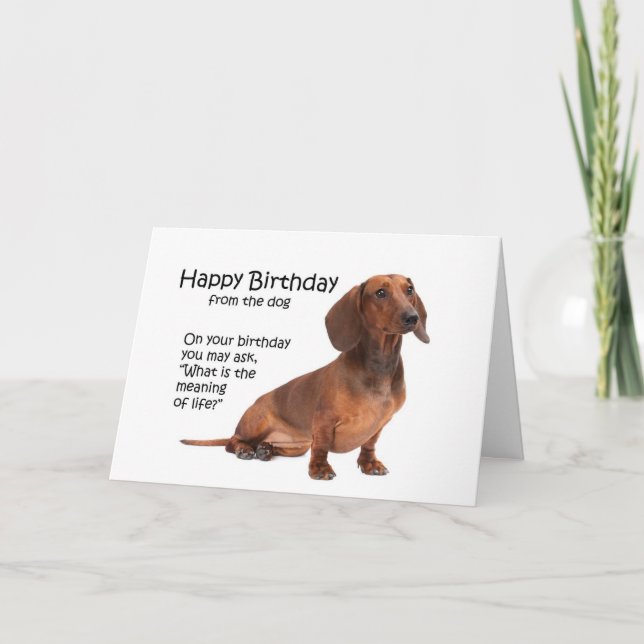 Cartão de Aniversário Engraçado Dachshund (Frente)