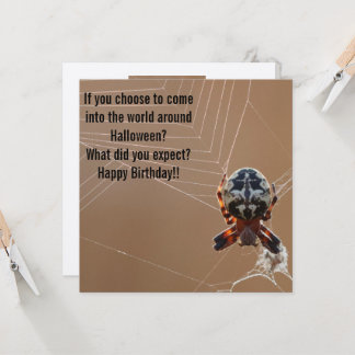 Cartão de aniversário engraçado de aranha de Hallo
