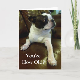 Cartão de Aniversário Engraçado de Boston Terrier