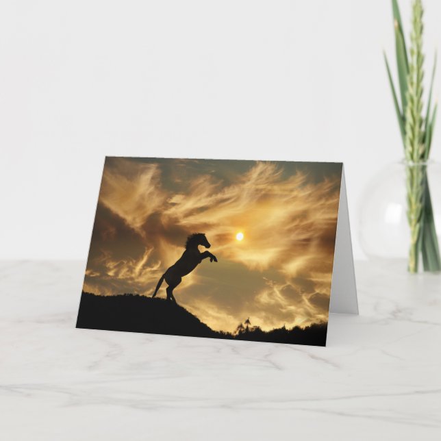 Cartão de Aniversário Engraçado de Cavalo Selvagem (Frente)