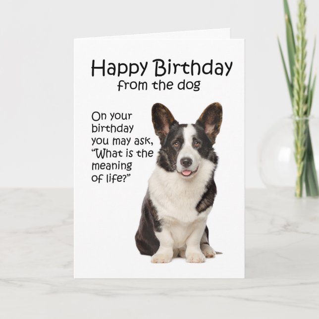 Cartão de Aniversário Engraçado de Corgi (Frente)
