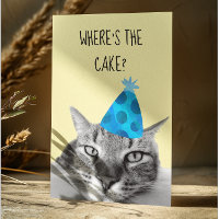 Cartão de Aniversário Engraçado de Gato Onde está