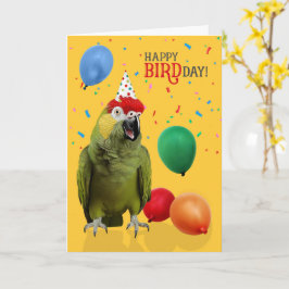 Cartão de Aniversário Engraçado de Papagaio Amazon