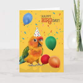 Cartão de Aniversário Engraçado de Papagaio Conure
