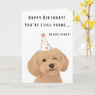 Cartão de aniversário engraçado do cachorro com pi