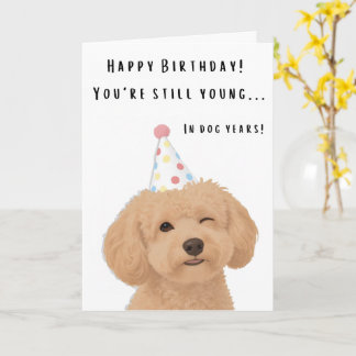 Cartão de aniversário engraçado do cachorro com pi