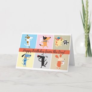 Cartão de Aniversário Engraçado do Cão